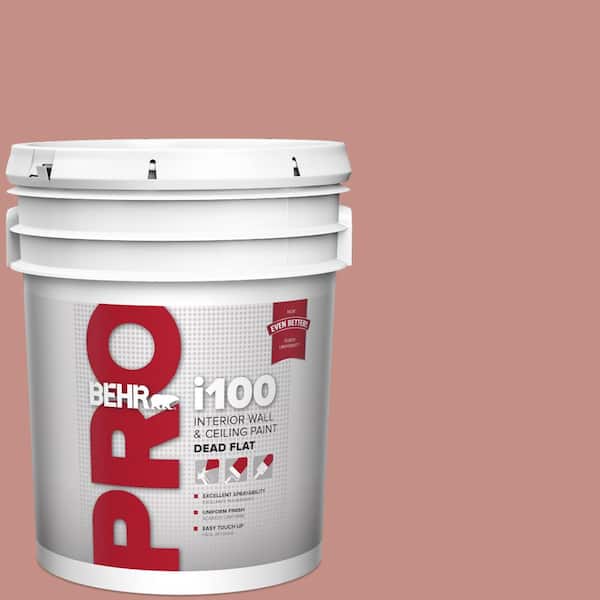 BEHR PRO 5 gal. #S160-4 Portuguese Dawn Dead Flat Interior Paint