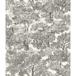Spinney Black Pre-Pasted Non-Woven Wallpaper