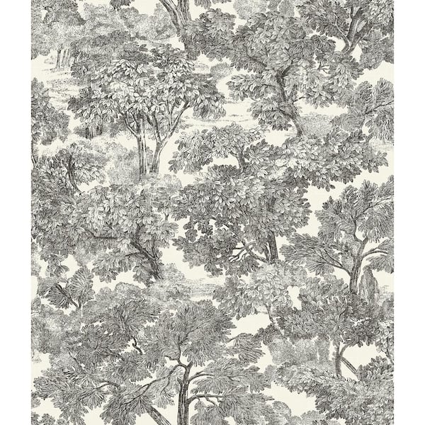 Chesapeake Spinney Black Pre-Pasted Non-Woven Wallpaper