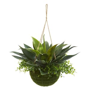 Indoor/Outdoor Agave and Maiden Hair Artificial Plant in Hanging Basket