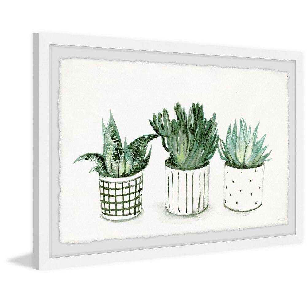 Green Patterned Pots Framed Canvas Print, 8" x 12"