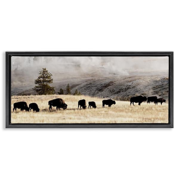 Grazing Bison Foggy Countryside by Danita Delimont Black Floater Frame Graphic Art Print Animal 31 in. x 15 in.