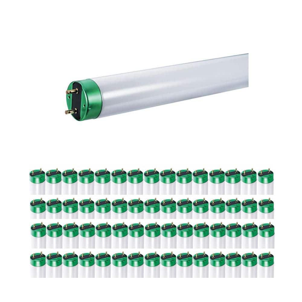 Philips 32-Watt 4 ft. Alto Daylight Linear T8 Fluorescent Tube