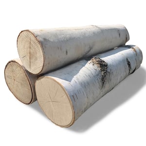 (37501) Large White Birch Fireplace Kiln Dried Wood Logs 15.5-17.5 in. L 3.5-5.5 in. H (Set of 3)