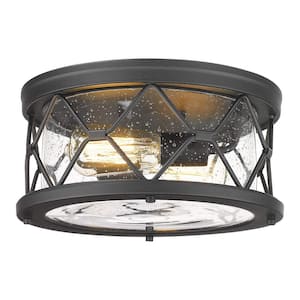 12 in. 2-Light Black Finish with Seeded Glass Shade Ceiling Flush Mount Light