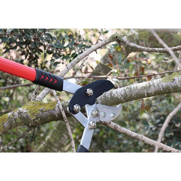 30 in. Tree Trimmer, Branch Cutter with 2 in. Cutting Capacity, Lopper  B01E5NQ2U4 - The Home Depot