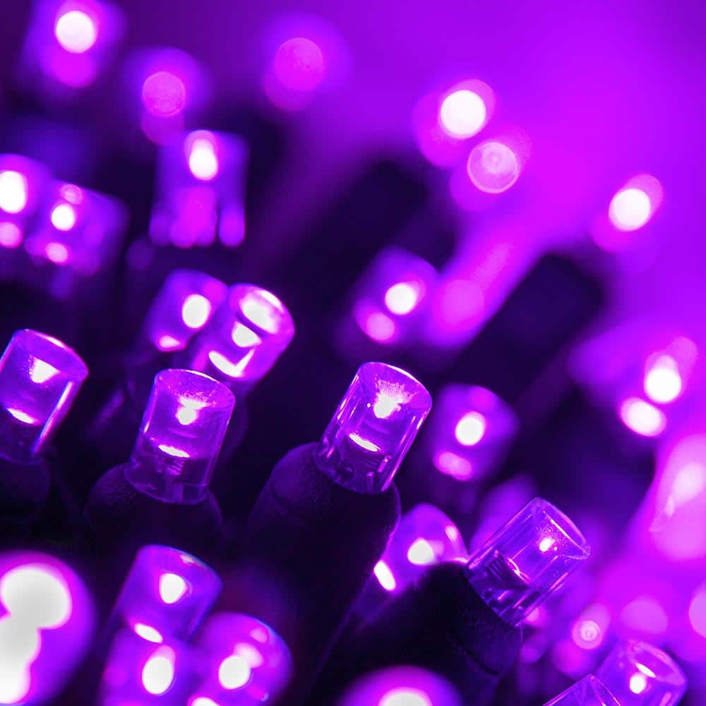 Estate Shipley sten Wintergreen Lighting 24 ft. 70-Light Purple 5 mm LED Mini Light Set 21037 -  The Home Depot
