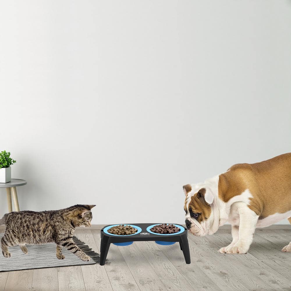 Blue Elevated Pet Bowls with Non-Slip Stand