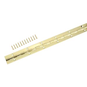 1-1/16 in. x 12 in. Bright Brass Continuous Hinge
