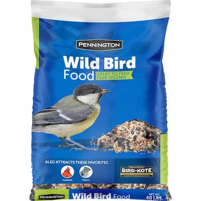 Bird Seed & Food