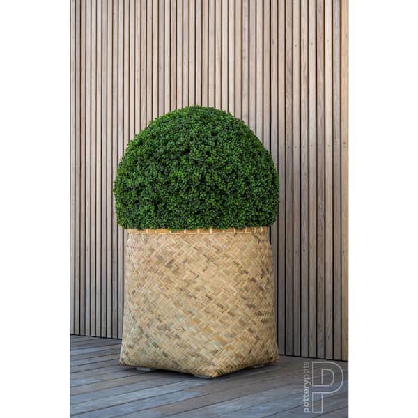 Boxwood Large Plastic Indoor Outdoor Modern Round Planter, 35.4 in. Diameter, Green