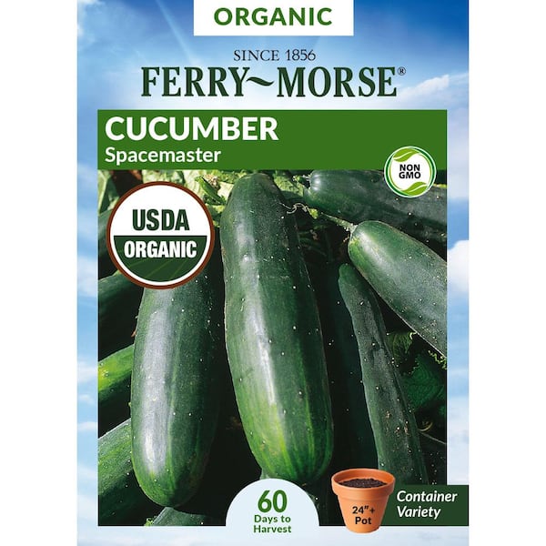 Ferry-Morse Organic Cucumber Spacemaster Fruit Seed