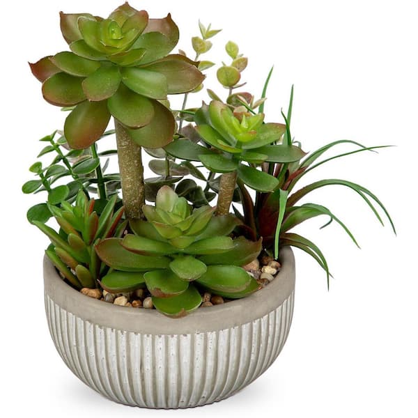 Unbranded 3 in Small Faux Succulent Artificial Plant Arrangement Cement  Potted Green Indoor Desk Home Office Bathroom Decor 59C1124D1985
