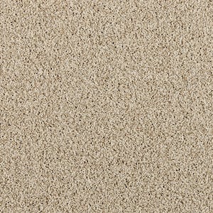 Radiant Retreat III Sandy Beige- Beige 73 oz. Polyester Textured Installed Carpet