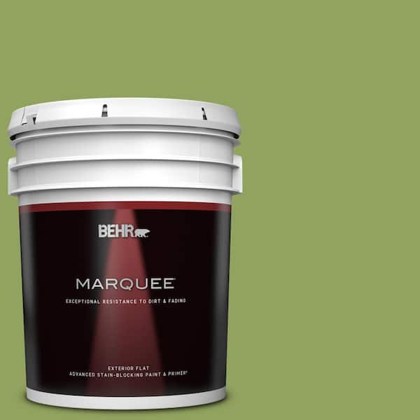 BEHR MARQUEE 5 gal. Home Decorators Collection #HDC-MD-15 Zesty Apple Flat Exterior Paint & Primer