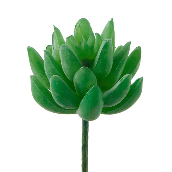 Flora Bunda Set of 12 Small Little Gem Artificial Desktop Succulent ...