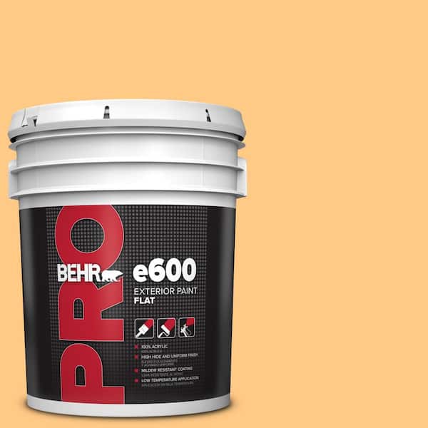 BEHR PRO 5 gal. #290B-5 Torchlight Flat Exterior Paint