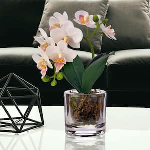 10 in. White Artificial Orchid in Illusion