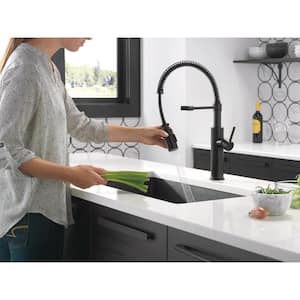 Antoni Single-Handle Pull-Down Sprayer Kitchen Faucet with Spring Spout in Matte Black