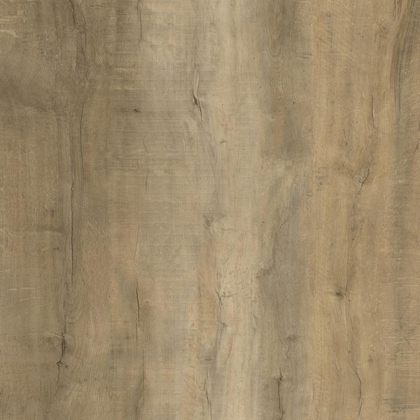 Dekorman Take Home Sample-Payson Oak 12 MIL x 7 in. W Water Resistant Glue Down Luxury Vinyl Plank Flooring