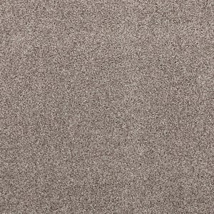 Plush Dreams III - Hushed-Brown 12 ft. 68 oz. Triexta Texture Installed Carpet