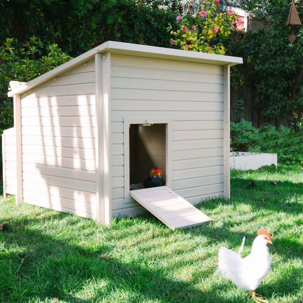 Jumbo Tan Eco-Friendly Chicken Barn with Nesting Box