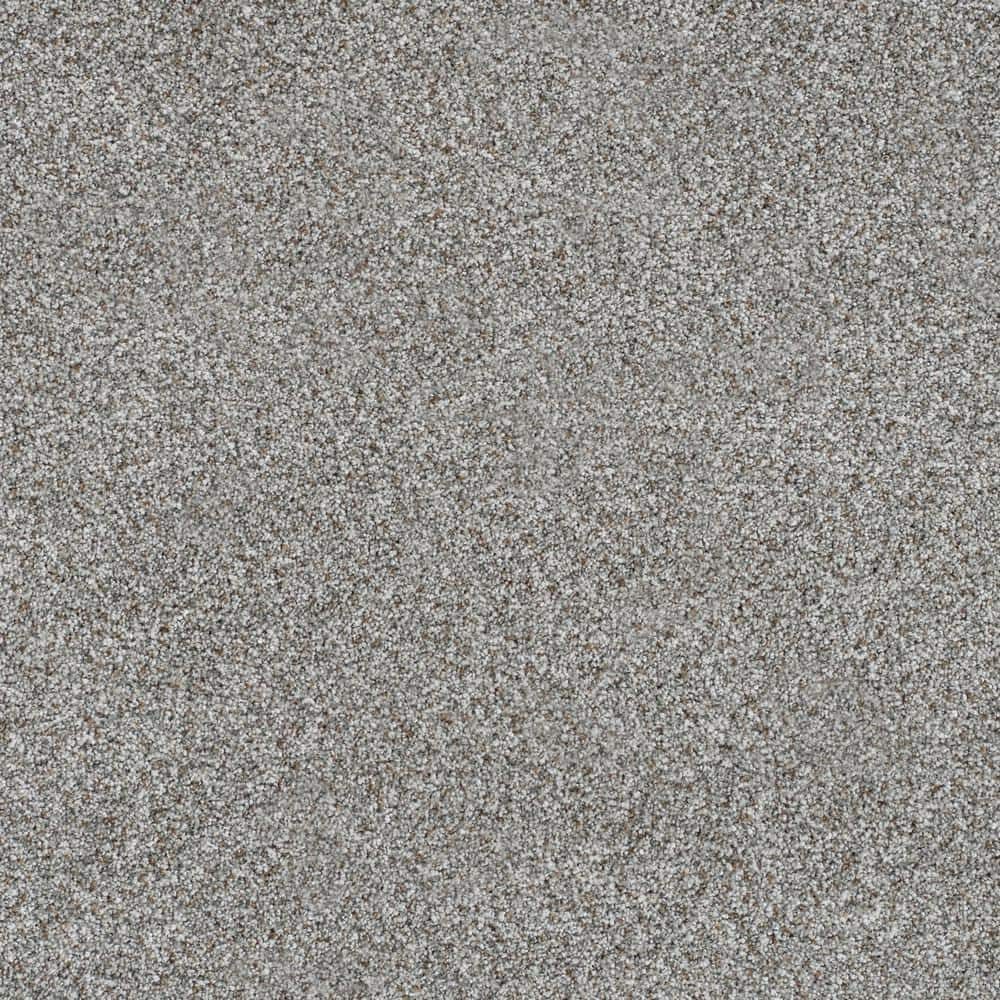 8 in. x 8 in. Texture Carpet Sample - Folklore III - Color Magical price history on PriceWatchPro