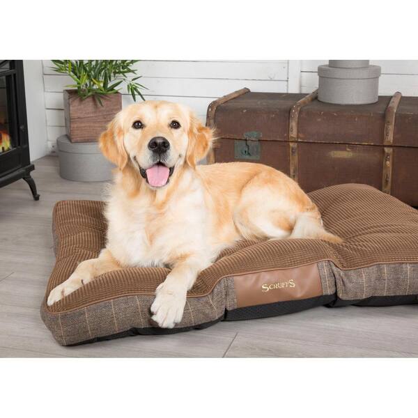 scruffs windsor dog bed