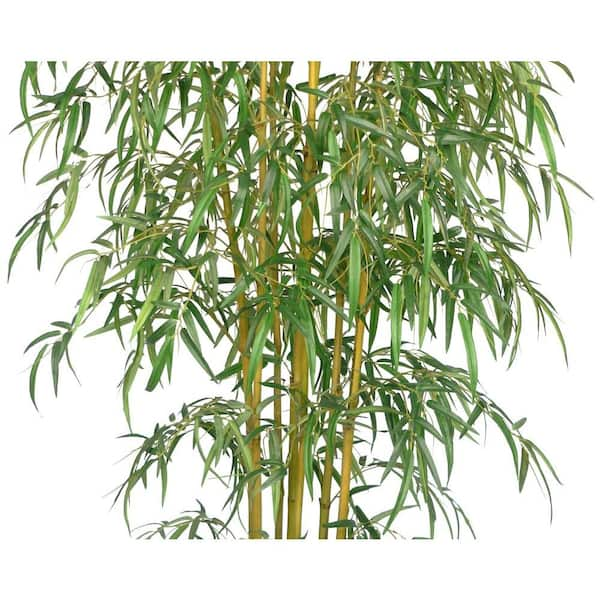 BambooMN 6.5 Ft Natural Bamboo Vintage Cane  