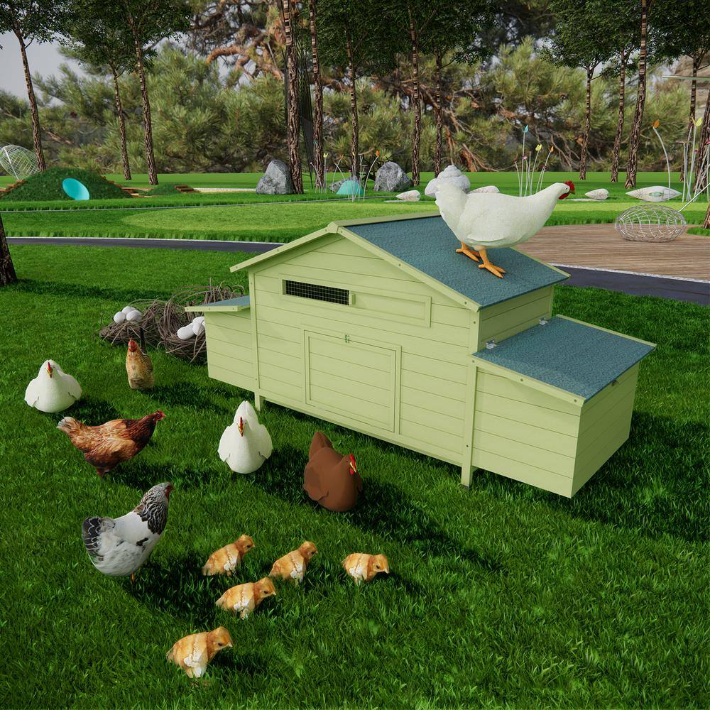 Large Green Wooden Chicken Coop with Nesting Boxes