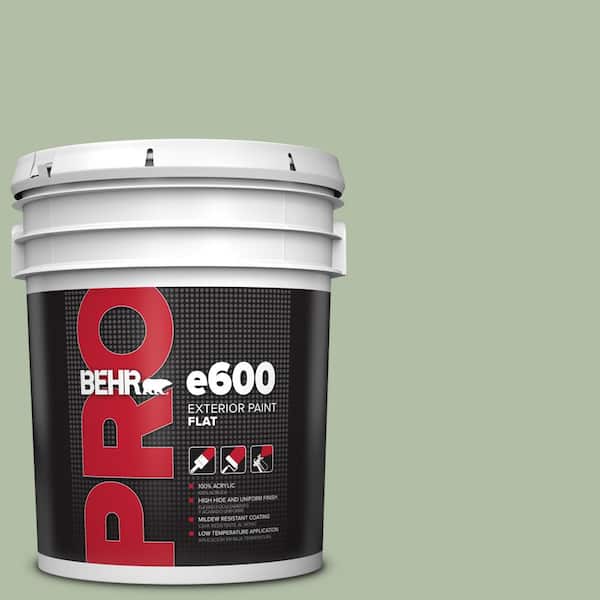 BEHR PRO 5 gal. #S390-3 Creamy Spinach Flat Exterior Paint