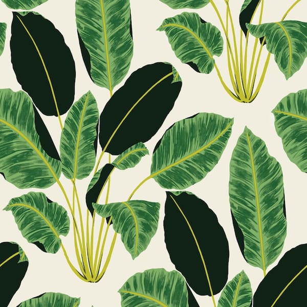 Tempaper Genevieve Gorder Hojas Cubanas Rich Emerald Peel and Stick Wallpaper (Covers 56 Sq. Ft.)