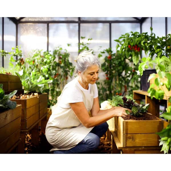 CANOPIA by PALRAM Glory 8 ft. x 8 ft. Gray/Diffused Polycarbonate