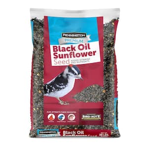 20 lbs. Premium Black Oil Sunflower Bird Seed