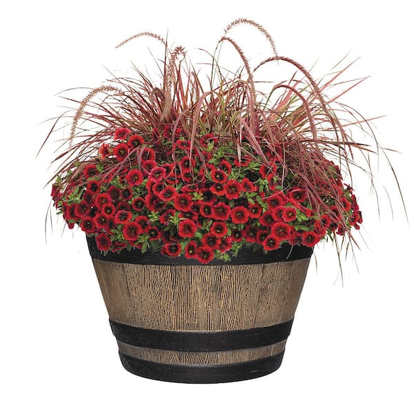 Maceta Con Forma De Barril De Whisky: De Resina, Color Nogal, 9 Pulgadas, Ideal Para Exterior