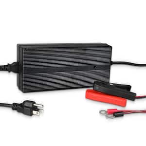 24V 10A 240-Watt AC-to-DC LFP Portable Solar Battery Charger Plug-and-Play