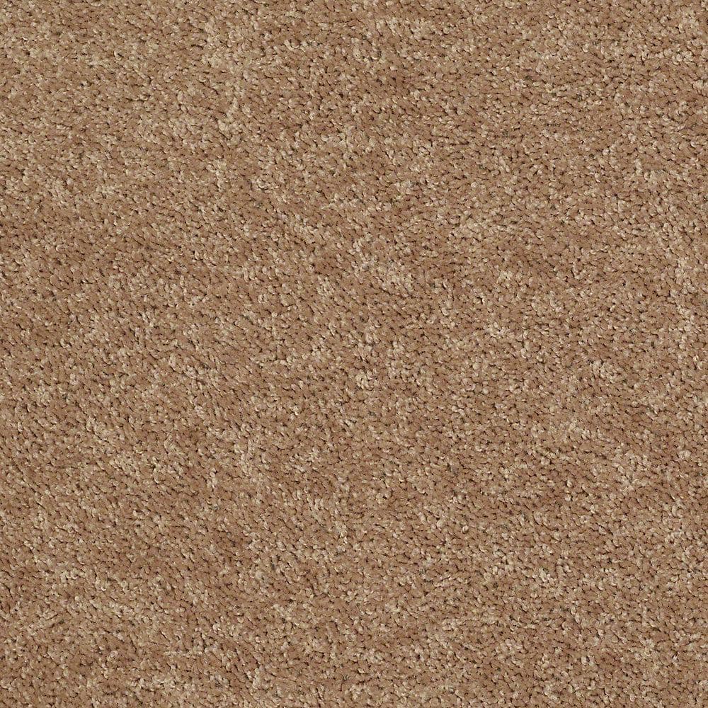8 in. x 8 in. Texture Carpet Sample - Palmdale I - Color Antique Gold price history on PriceWatchPro