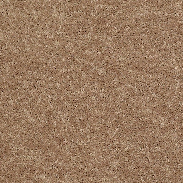 TrafficMaster 8 in. x 8 in. Texture Carpet Sample - Palmdale I - Color Antique Gold