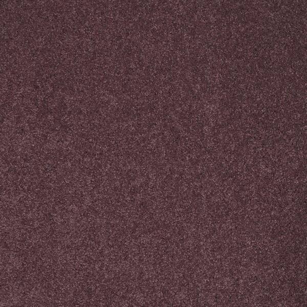 SoftSpring Carpet Sample - Miraculous II - Color Unforgettable Texture 8 in. x 8 in.