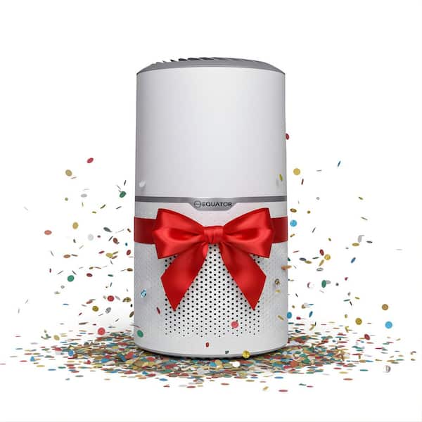 Equator 269 sq. ft. ION Smoke Remover in White with HEPA Filter 110V Tabletop Air Purifier/Sterilizer PET