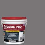Fusion Pro #19 Pewter 1 Gal. Single Component Grout