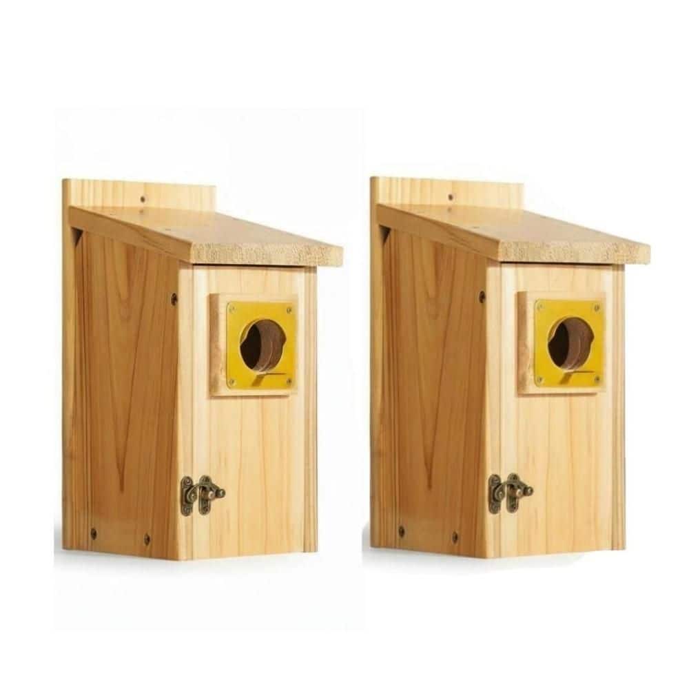 2-Pack Outdoor Bird Houses with Copper Guard, Cedar Bird House for Bluebird Finch Swallow Wren Chickadee price history on PriceWatchPro