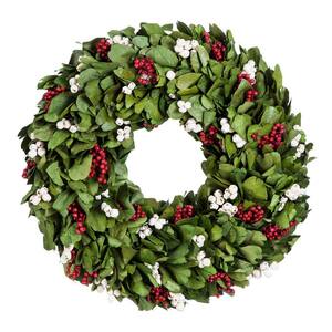 18 in. Artificial Giloy Leaf White and Red Berry Christmas Wreath