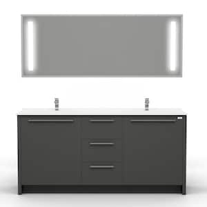 Nona 60 in.W x 20 in. D Vanity In Glossy Gray With Acrylic Top in White with Double White Basin and Mirror
