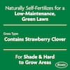 scotts-grass-seed-18013-1-e1.1