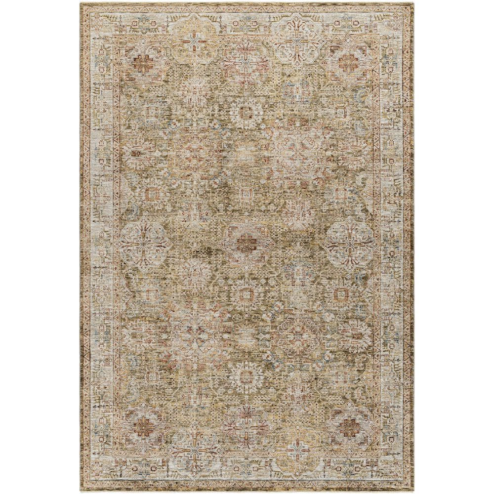 Naila Sage Traditional Border 7 X 10 Area Rug price history on PriceWatchPro