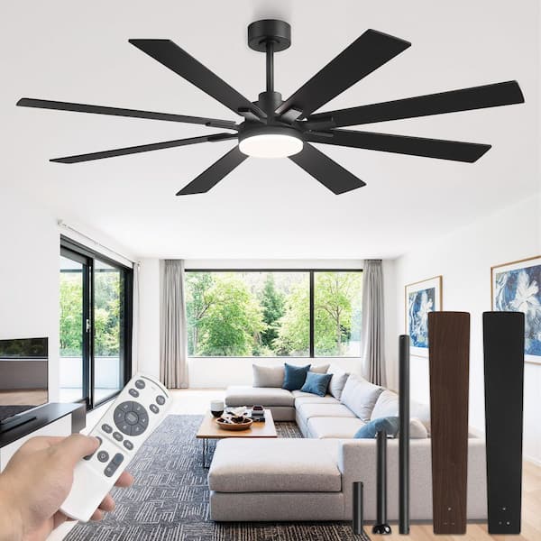 65 in. Indoor/Outdoor Ceiling Fan with Light APP/Remote Black 6 Speed Reversible Quiet DC Motor Downrod for Living Room