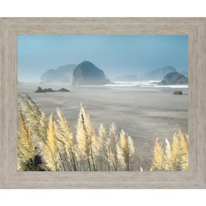 "Pompas Beach" By Frates Framed Print Wall Art 28 in. x 34 in.