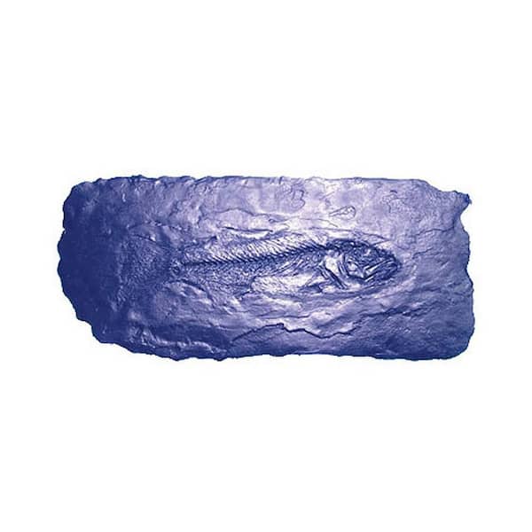 Bon Tool Fish Fossil Stamp