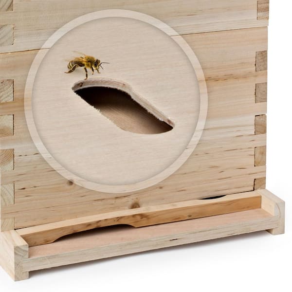 9.5  Bee Hive Decor